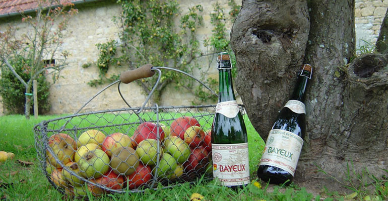 Pommes et cidre de Normandie
