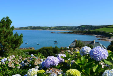 Paysage de la côte du cotentin