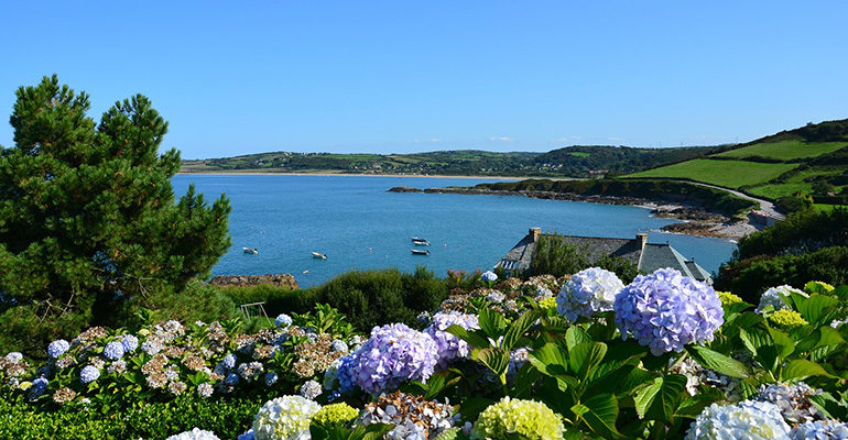 Paysage de la côte du cotentin