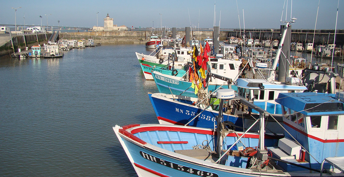 Des bateaux colores sur un port de peche