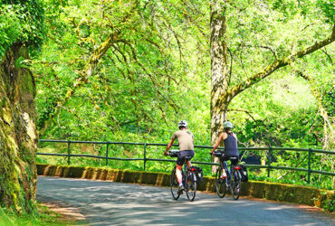 Deux cycliste sur une route ombragée