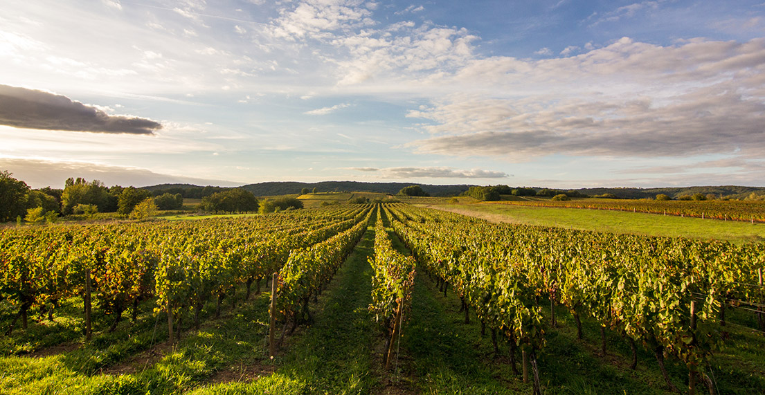 Vignoble de Cahors