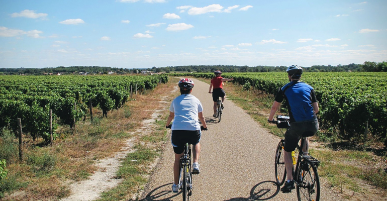 Balade à vélo dans les vignes de Montlouis