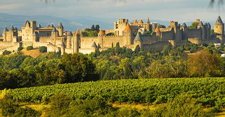 panorama sur la ville de carcassonne derrière les vignes