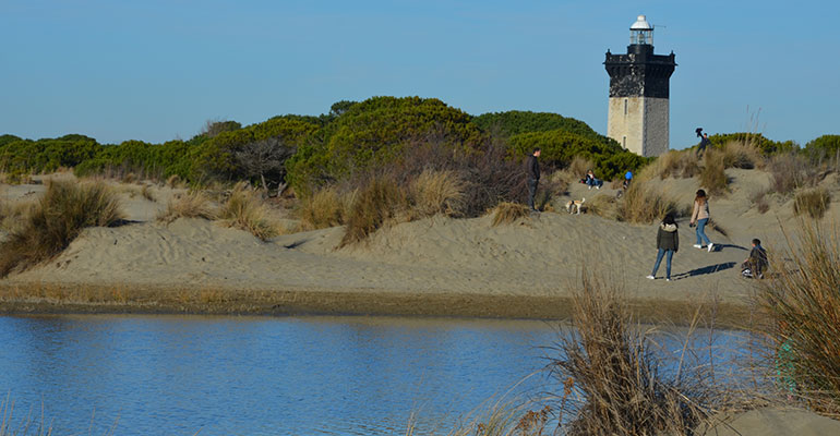 la plage d'Espiguette