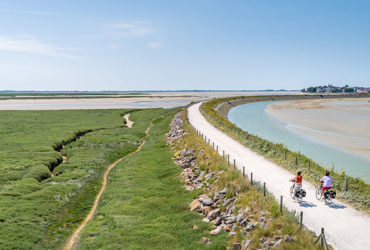 Couple à vélo sur les voies vertes de la baie de somme à vélo