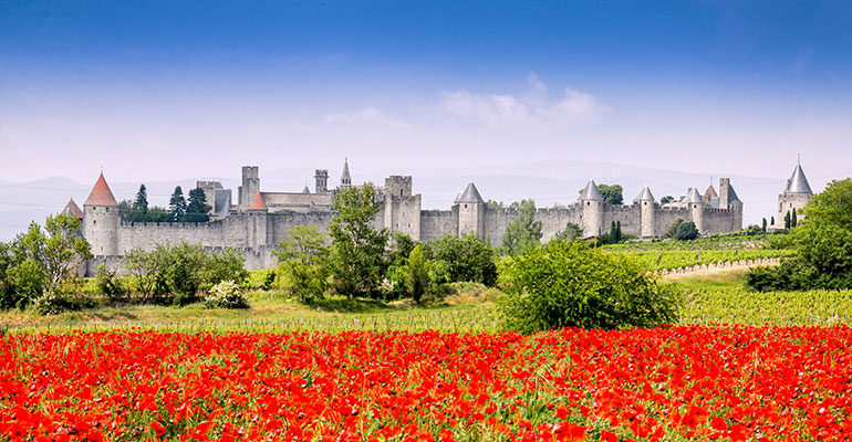 Vue de la cité médiévale de Carcassonne devant un champs de coquelicots