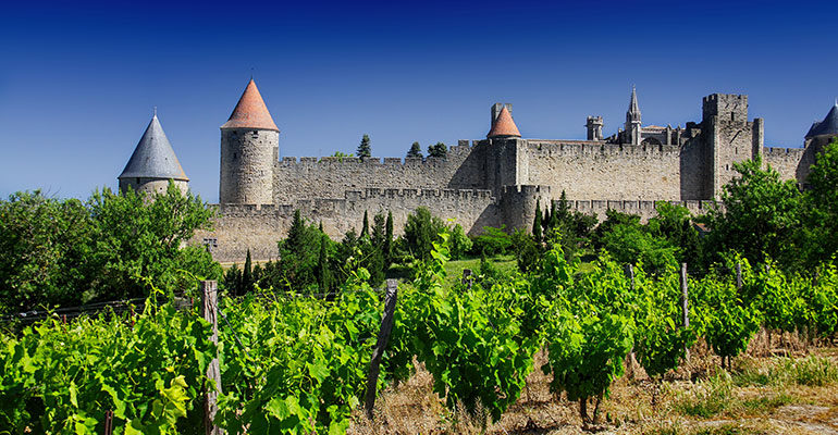Vue de la cité fortifiée de Carcassonne à travers les vignes