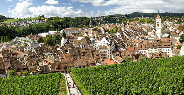 Lac de Constance vignes Schaffhausen
