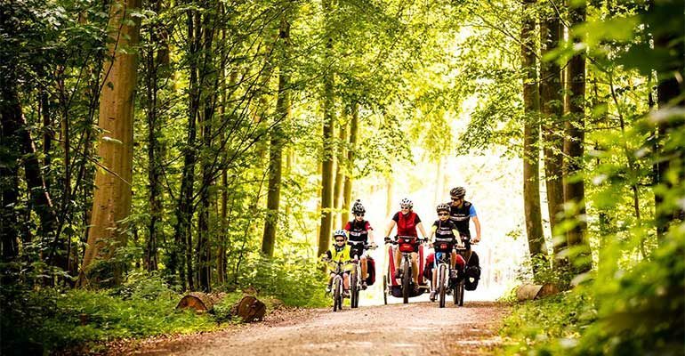 Famille à vélo en forêt sur l'île de Fyn