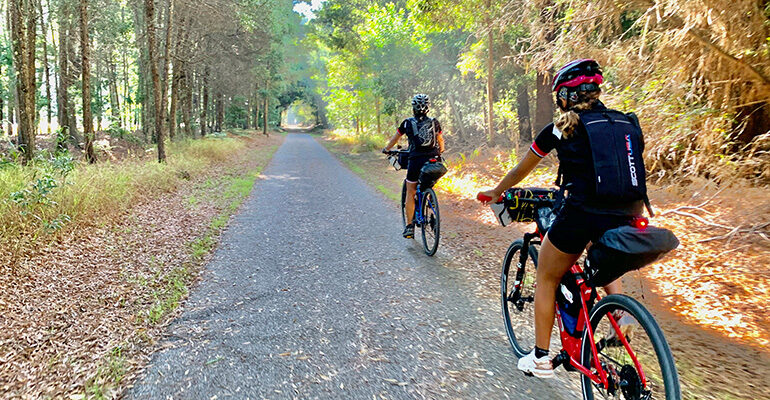 Cyclotouristes en forêt au Portugal