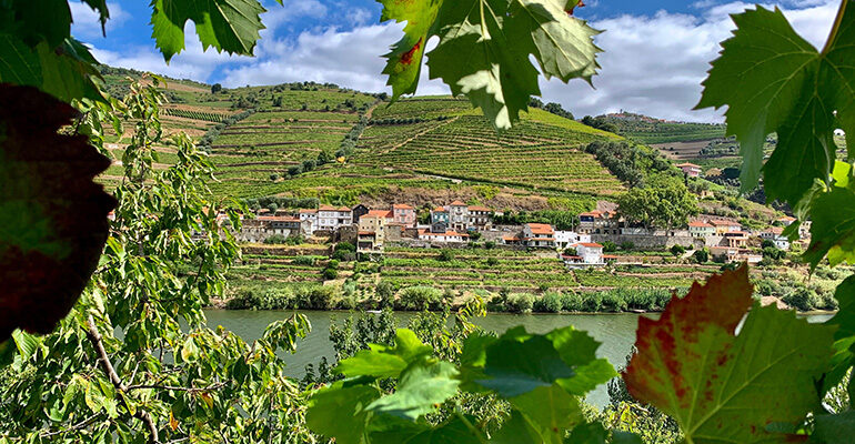 Village dans la vallée du Douro entre des feuilles de vigne