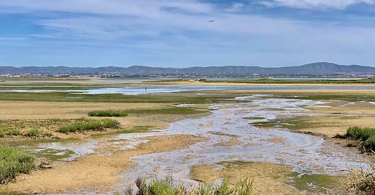 Nature dans la région de l'Algarve