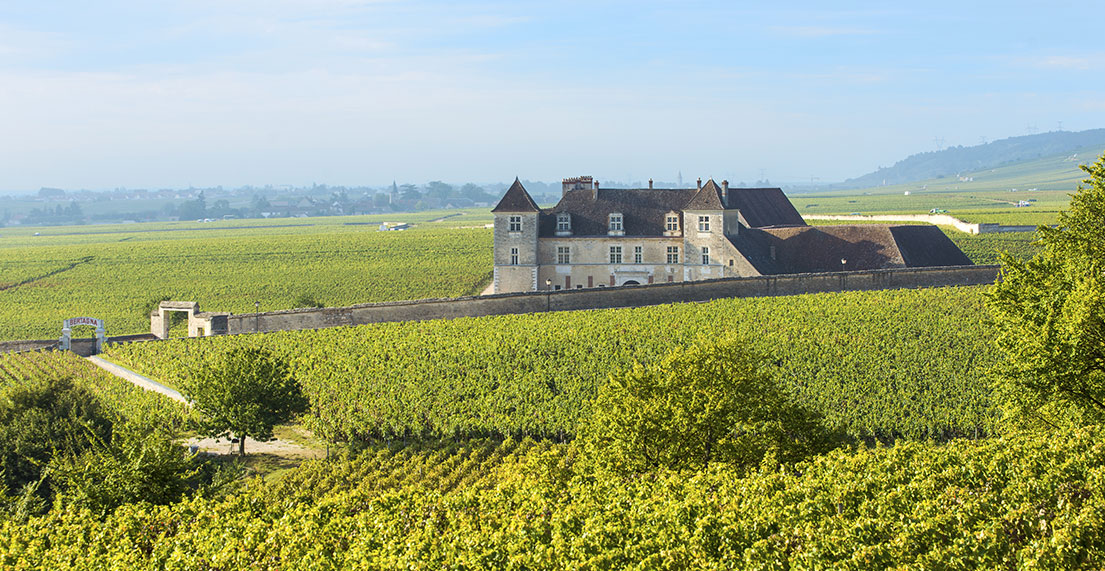 Un chateau au milieu des vignes