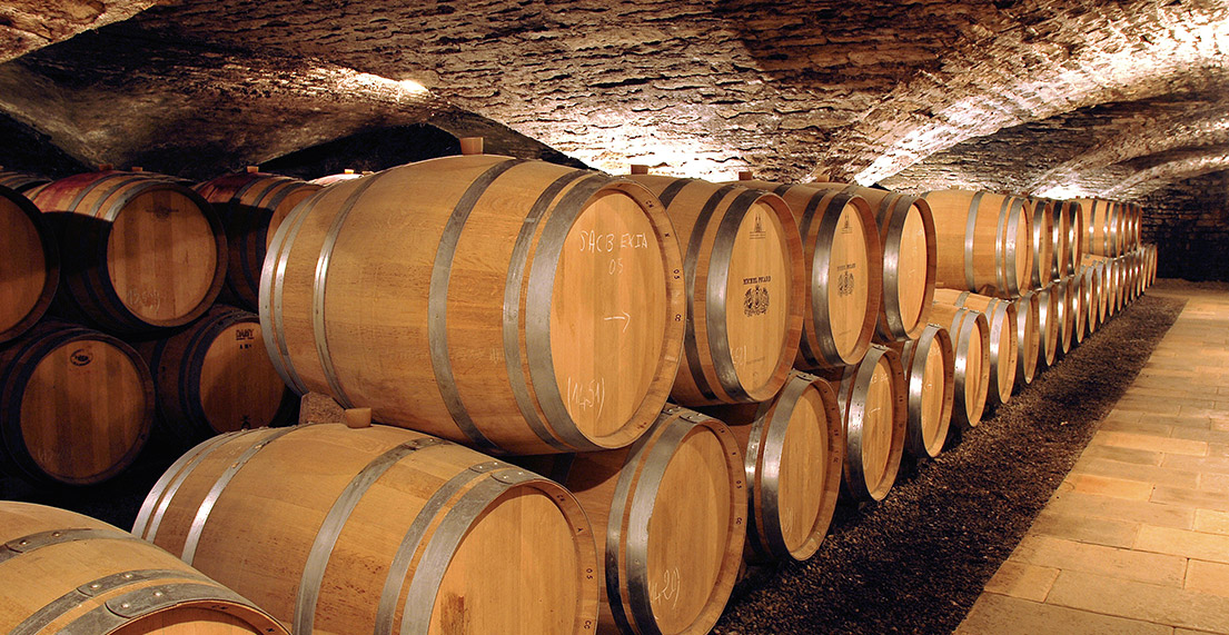 Une degustation de vins dans une cave
