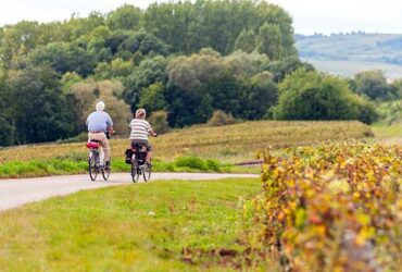 couple vélo vignes