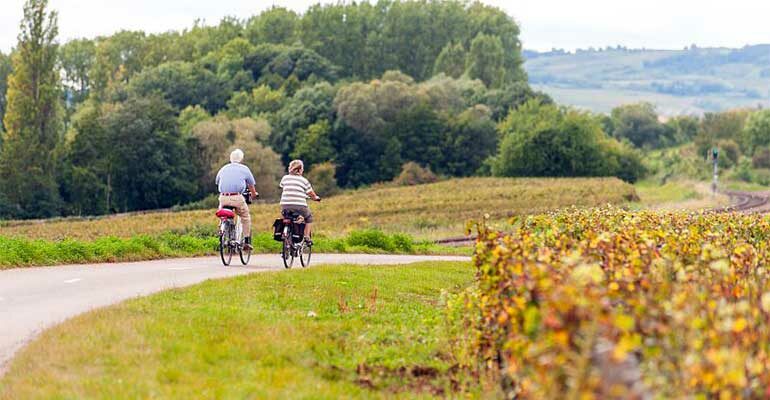 couple vélo vignes