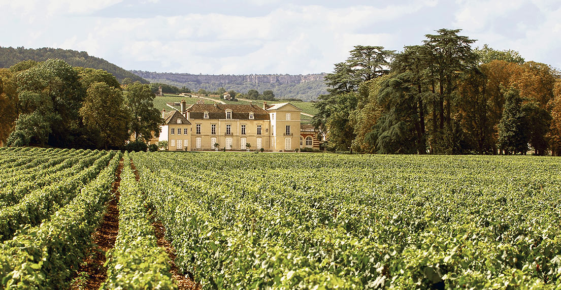 Un chateau au milieu des vignes