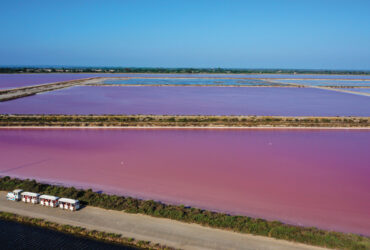 Les marais salants roses de la Camargue