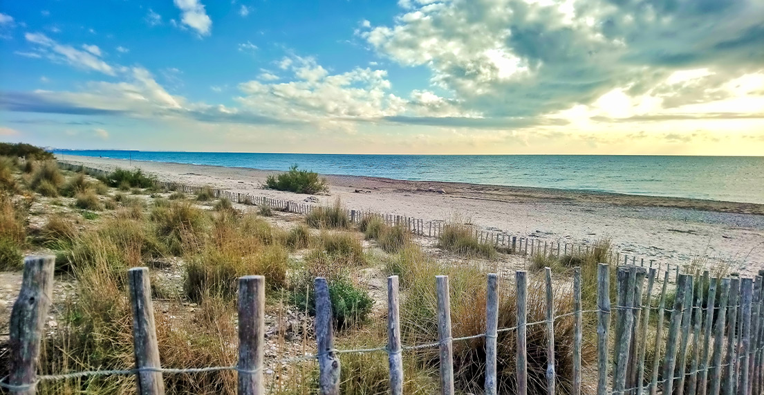 Une plage de sable blanc
