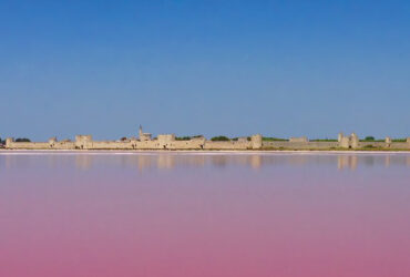 Saline vue château Aigues-Mortes