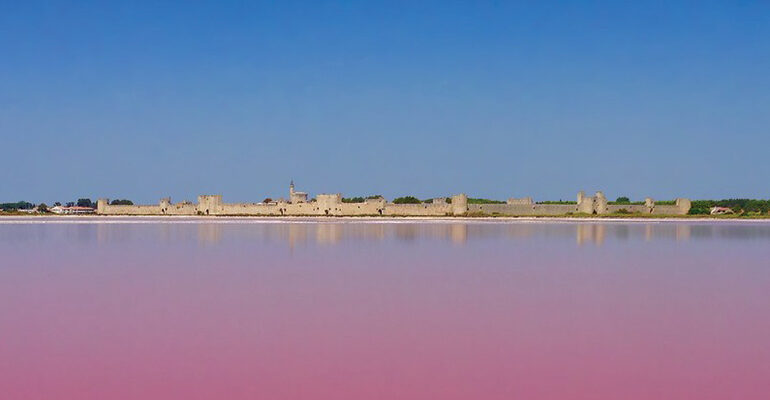Saline vue château Aigues-Mortes