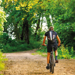 Cycliste de dos sur un chemin de fôret