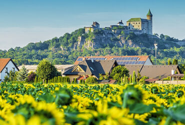 Champ de tournesol surplombé d'une colline et son château