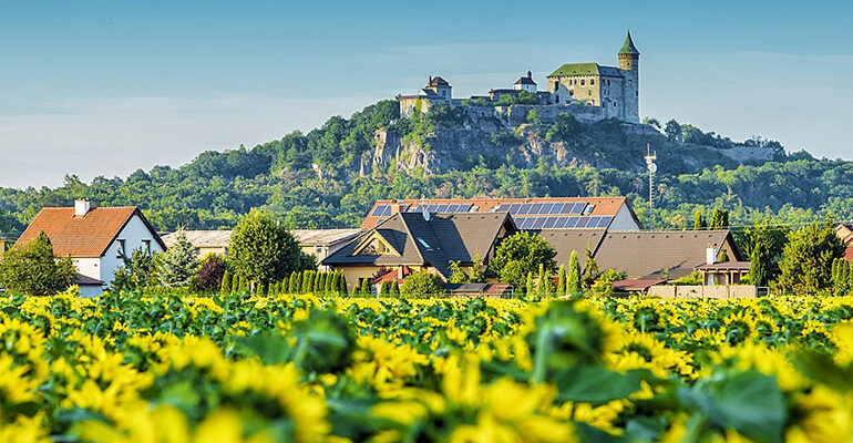 Champ de tournesol surplombé d'une colline et son château