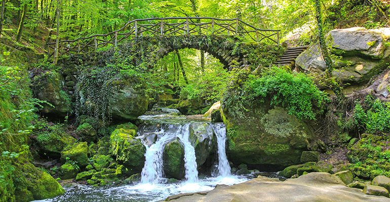 Une cascade coule sous un pont de pierres en pleine forêt