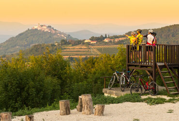 Un groupe de cycliste admirent un panorama sur les montagnes et forêt depuis un promontoir