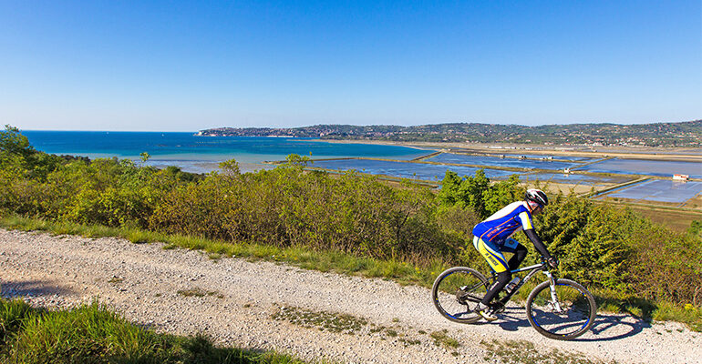 Un cycliste roule le long de marais salants