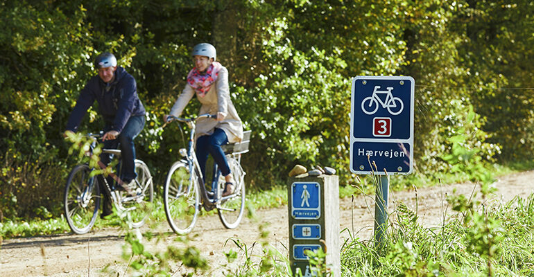 Un couple de cycliste roule sur une piste cyclable de forêt