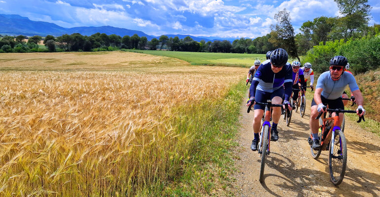 Un groupe de cyclistes roule sur une route campagne