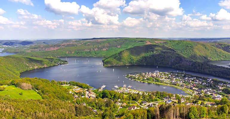 Panorama sur une forets et un lac