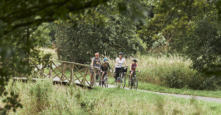 Une famille de cyclistes rolent sur une piste cyclable de forêt