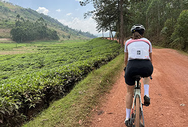 Femme cycliste sur un vélo de gravel sur une piste bordant des champs de thé