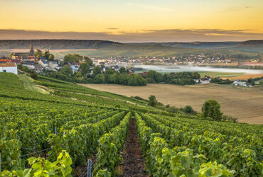 Paysage champenois avec ses vignes et sa campagne au coucher de soleil