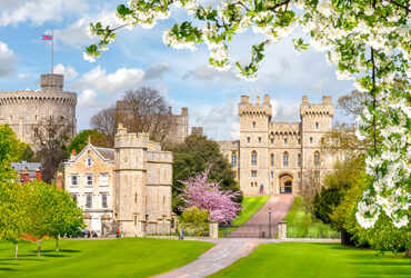 Le château de Windsor entouré d'arbres en fleurs