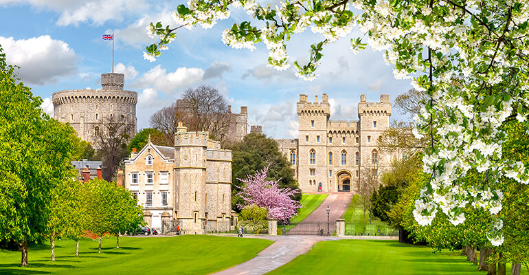 Le château de Windsor entouré d'arbres en fleurs