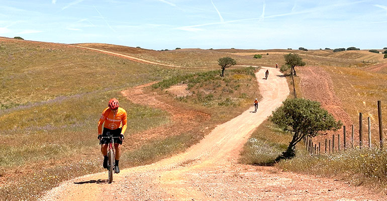 Alentejo Gravel Bike Wine days bike tour in Portugal