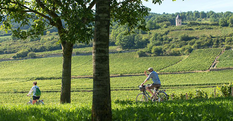 Un couple de cyclistes roule au beau milieu des vignes
