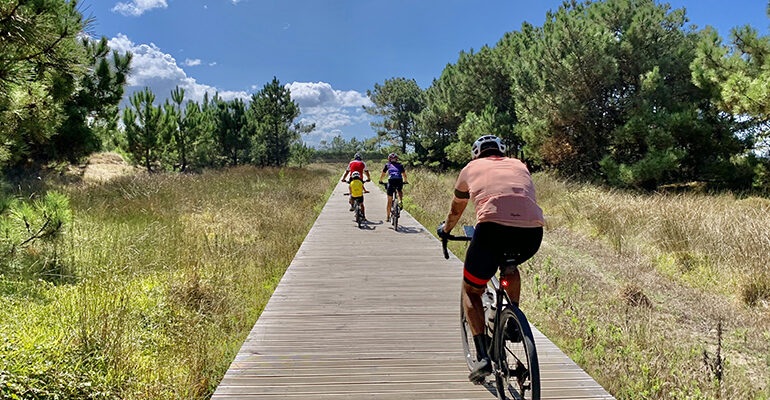 Famille de cyclistes sur une piste cyclable entourée de foret