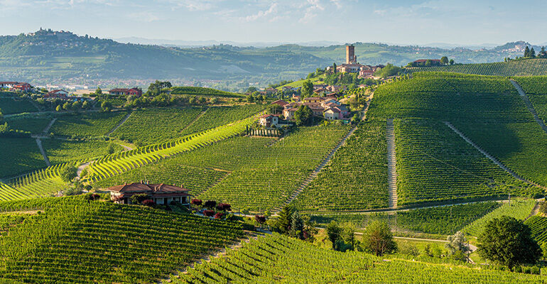 Un village haut perché au dessus des champs de vignes a perte de vue