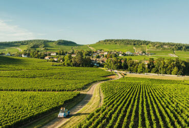 Vue aérienne sur les vignes et un petit village de Bourgogne