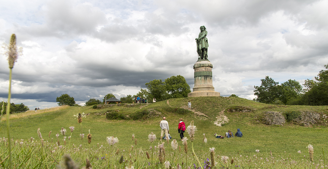 La statue de Vercingétorix dominant les champs de fleurs à Alesia