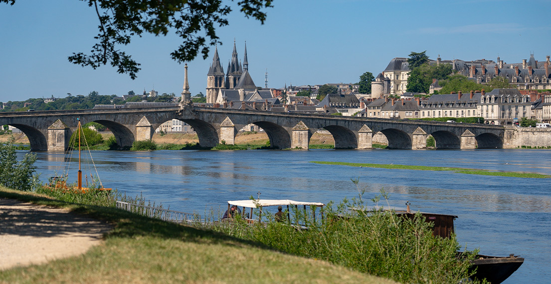 La ville de blois traversé de son ponts en arches