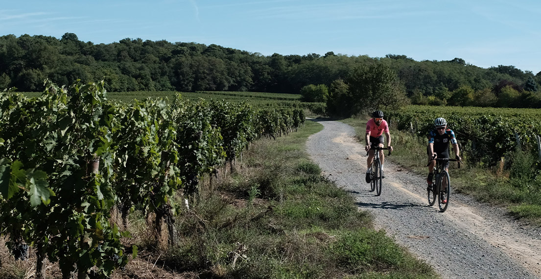 Un couple de cyclistes roule au milieu des vignes