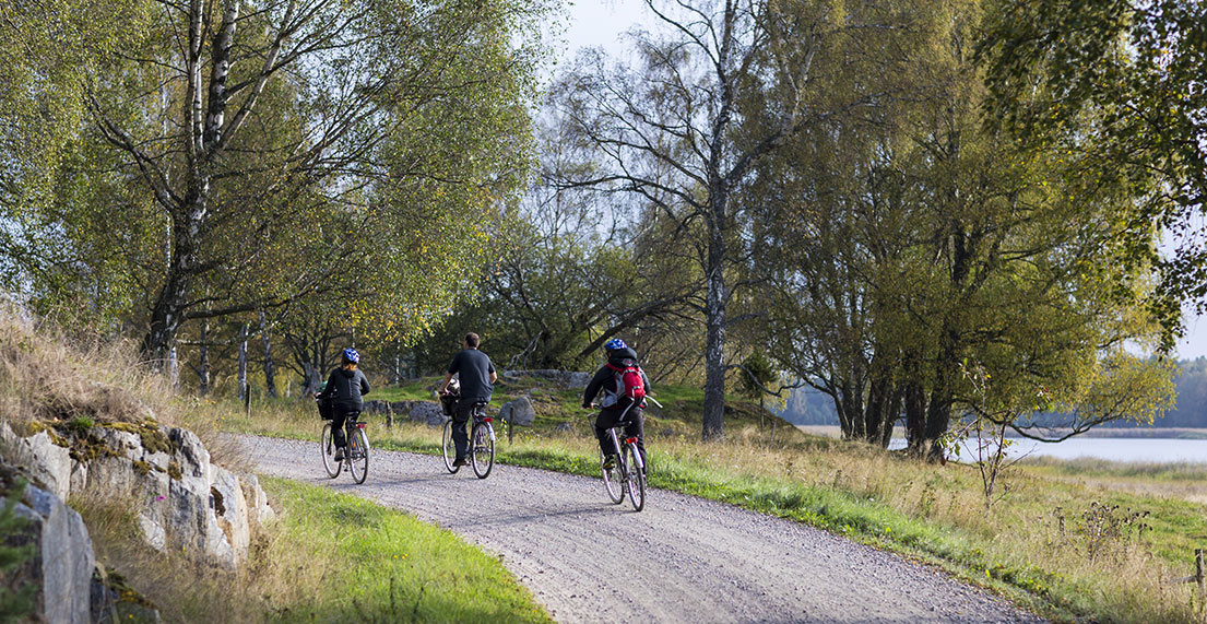 Un groupe de cycliste roule sur un chemin de foret le long d'un lac