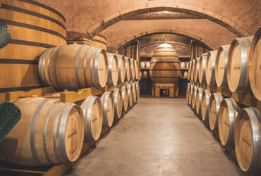 Une cave remplie de tonneaux de vins